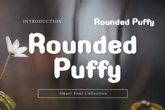 Bringing Softness to Your Brand with Rounded Puffy Display Font