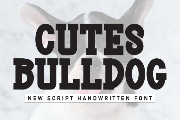 Cutes Bulldog: A Playful Display Typeface for Engaging Campaigns